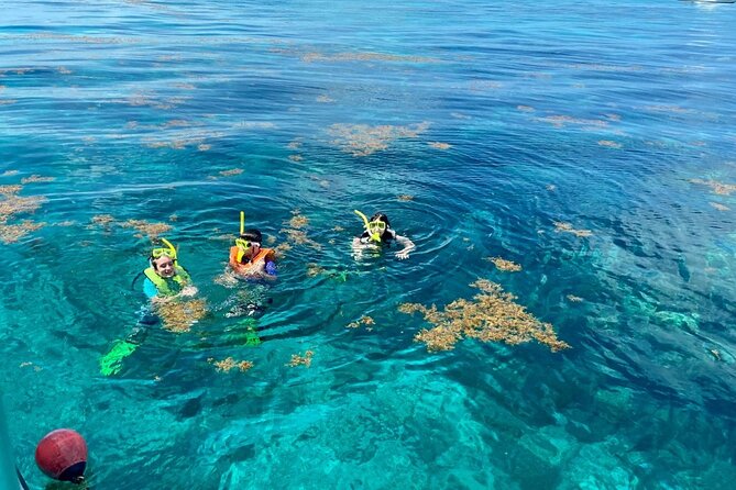 Half Day Snorkel Trip on Reefs in the Florida Keys - Why Key Largo is the right place for this reef trip