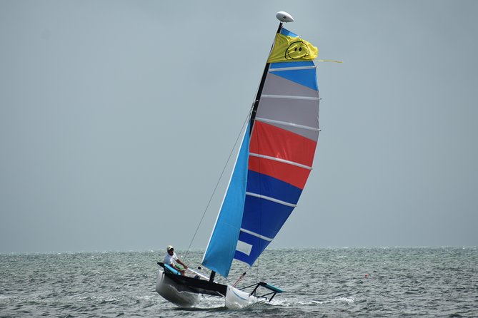 Hobie Cat Sailing with Miami Watersports - Why the Key Biscayne setting works
