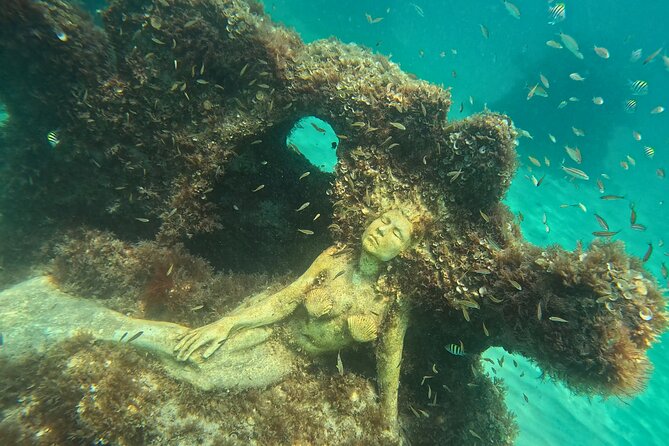 Hollywood Snorkel, Kayak & Paddleboard with Reefs and Sculptures - Starting at 1461 South Surf Road