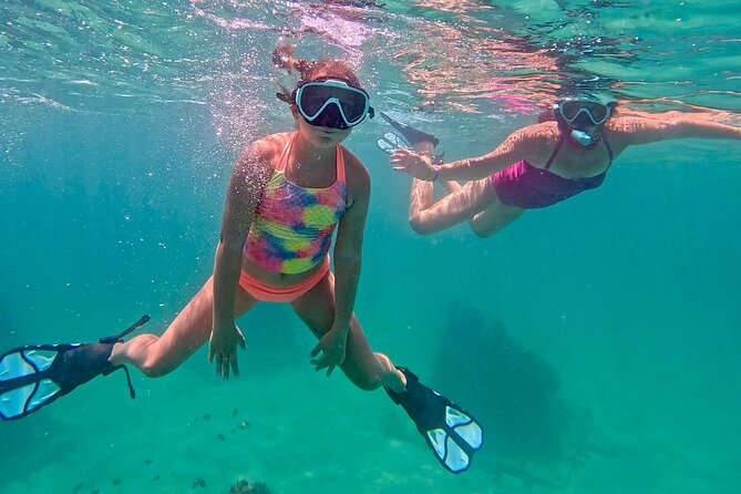 Hollywood Snorkel, Kayak & Paddleboard with Reefs and Sculptures - Snorkeling Among Fish and Sculptures