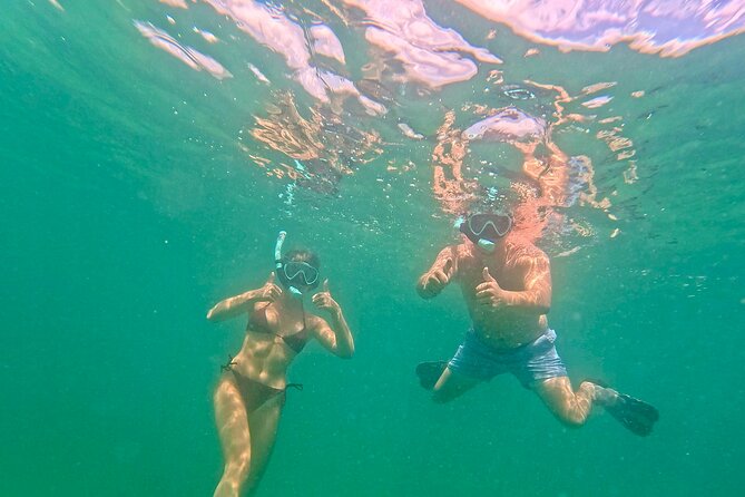 Hollywood Snorkel, Kayak & Paddleboard with Reefs and Sculptures - What the $89 Price Really Includes