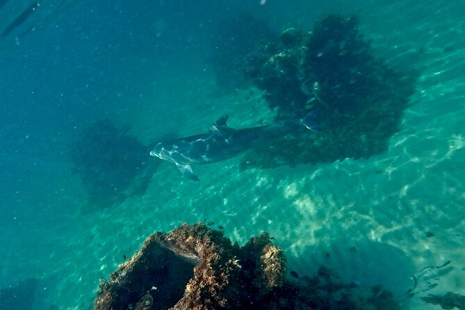 Hollywood Snorkel, Kayak & Paddleboard with Reefs and Sculptures - The People Behind the Paddle