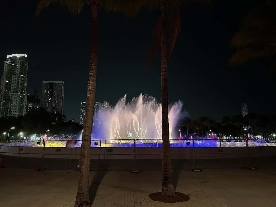 Hop-on Hop-off Water Taxi in Miami and Miami Beach - Who should book this Miami water taxi