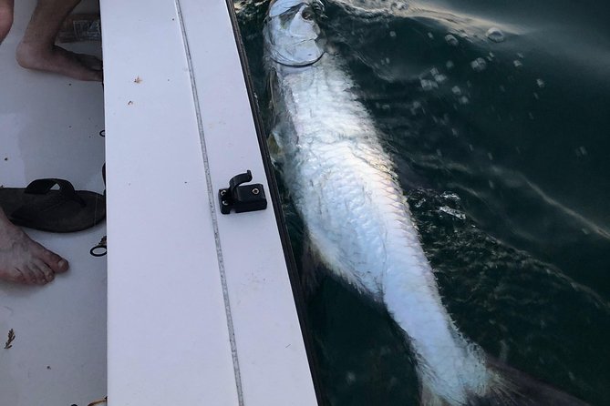 Inshore Sport Fishing with Local Guide - Who will enjoy this private boat