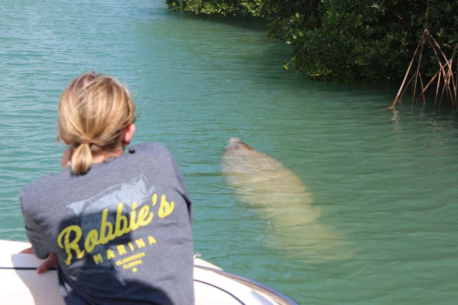 Islamorada: Private Boat Tour with Snorkeling and Sandbar - Four hours from Robbie’s Marina to the Florida Keys water