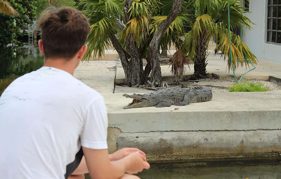 Islamorada: Private Boat Tour with Snorkeling and Sandbar - Why the private boat setup matters
