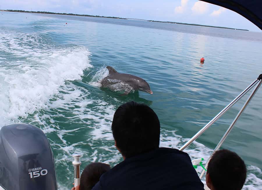 Islamorada: Private Boat Tour with Snorkeling and Sandbar - Who will get the most from this Islamorada charter