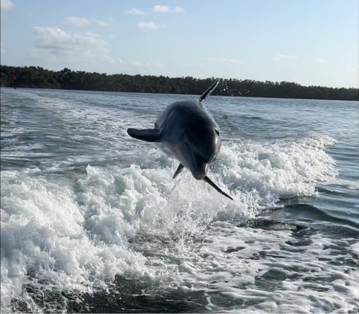 Islamorada: Private Snorkel & Sandbar Adventure - Captain Jim and the private-boat advantage
