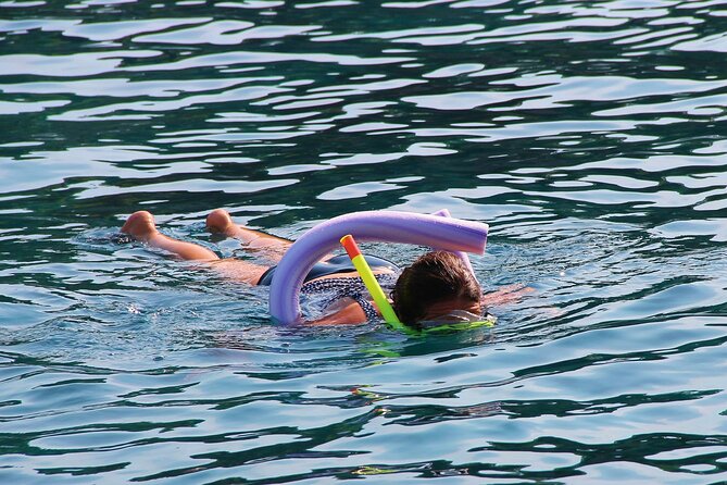 Islamorada: Snorkel adventure & Sandbar Trip - Who will enjoy this Islamorada boat trip?