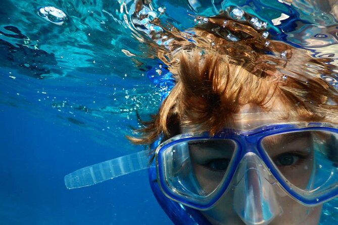 Islamorada: Snorkel adventure & Sandbar Trip - FAQ