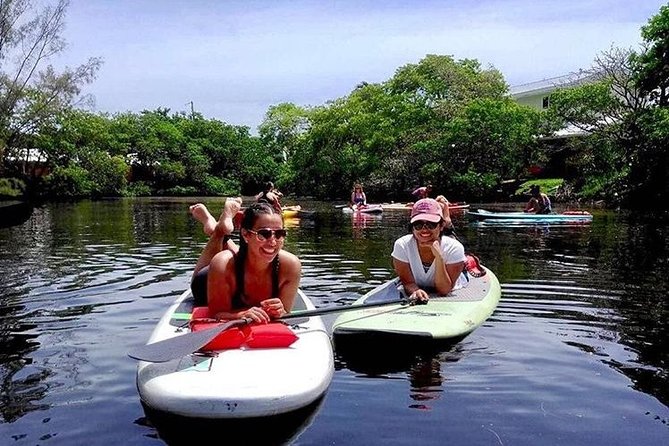 Island City ECO Paddle and Lesson to 9.3 Acre Nature Preserve - Starting at Sunrise Paddleboards on Federal Highway
