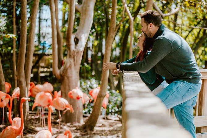 Jungle Island General Admission Ticket - Key points to know before you go