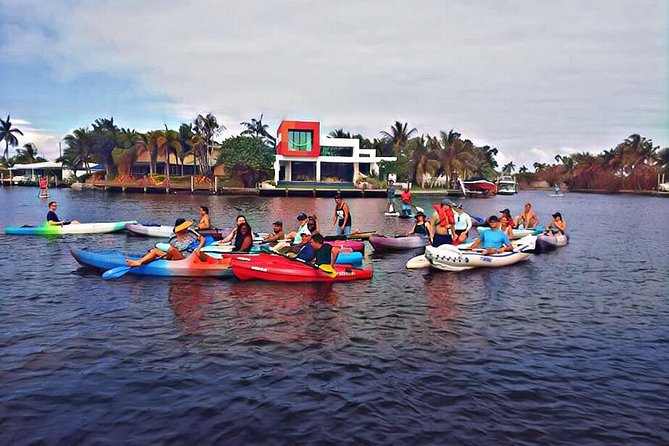 Kayak Rental: Explore Mangroves and Self-Navigated River Eco Paddle - What the one-hour paddle feels like