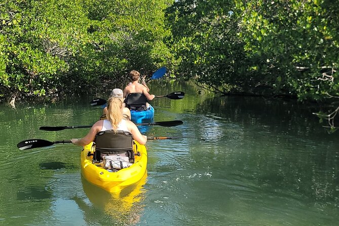 Kayak through Mangrove Forests in the Florida Keys - From Old Conch Harbor to Tavernier Creek