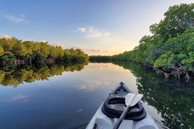 Kayak through Mangrove Forests in the Florida Keys - How hard is the paddling?