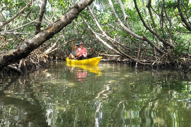Kayak through Mangrove Forests in the Florida Keys - Wildlife sightings are exciting, not guaranteed