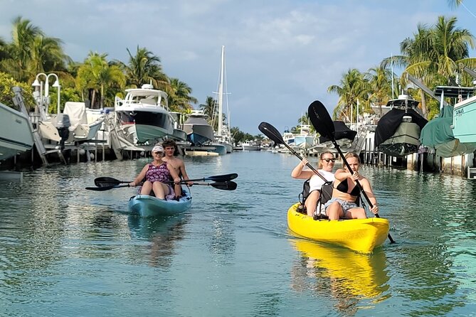 Kayak through Mangrove Forests in the Florida Keys - Is $65 a good value?