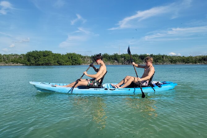 Kayak through Mangrove Forests in the Florida Keys - Who will enjoy this kayak tour most?