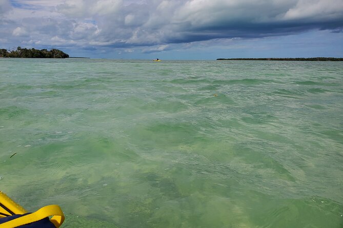 Kayak Trip & 3 hikes in Everglades National Park - Why this Everglades day works so well