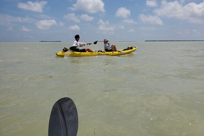 Kayak Trip & 3 hikes in Everglades National Park - Anhinga Trail: the classic River of Grass introduction