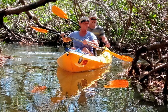 Kayak Trip & 3 hikes in Everglades National Park - Flamingo kayaking: two hours on the water