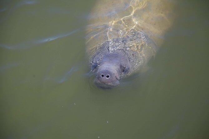 Kayak Trip & 3 hikes in Everglades National Park - Mahogany Hammock: a cooler, darker change of scene