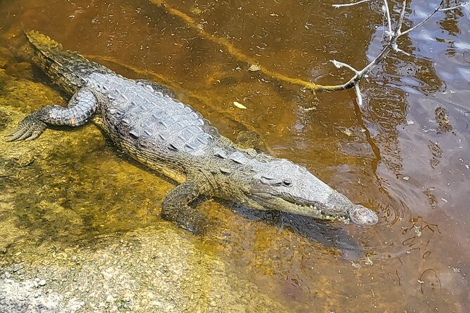 Kayak Trip & 3 hikes in Everglades National Park - Pineland Trail: the overlooked dry side of the park