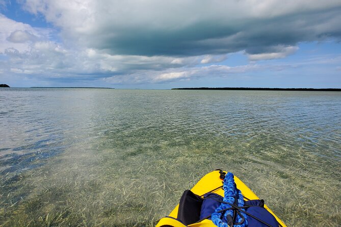 Kayak Trip & 3 hikes in Everglades National Park - Starting early from Miami, Homestead, or the cruise ports