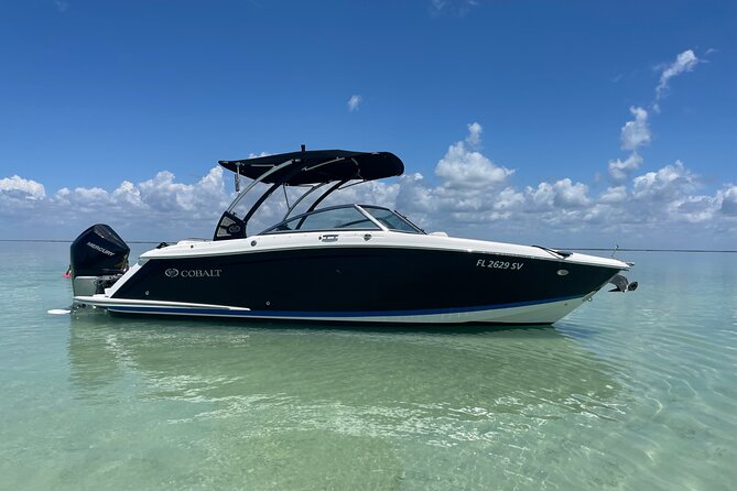 Key Largo Bay Dolphin Sunset Tour - A one-hour sunset on Key Largo Bay