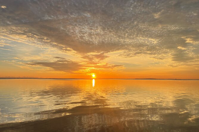 Key Largo Bay Dolphin Sunset Tour - What you may see around the bay