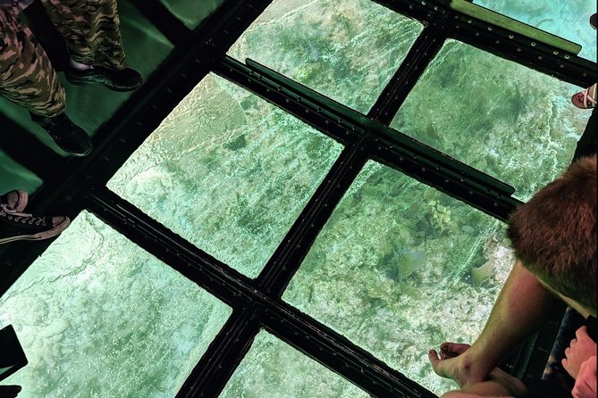 Key Largo Coral Reef Glass Bottom Boat Adventure - Key Largo’s reef from a comfortable boat