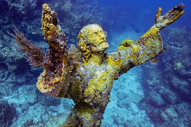 Key Largo Coral Reef Half Day Snorkel Trip - Key points at a glance