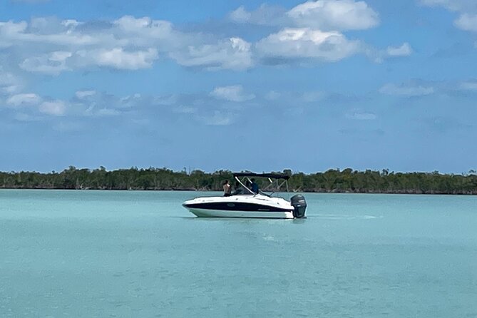 Key Largo Dolphin Day Tour - What the captain adds to the hour