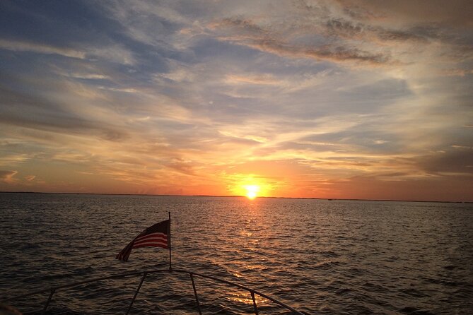Key Largo Dolphin Day Tour - Wildlife watching without false promises