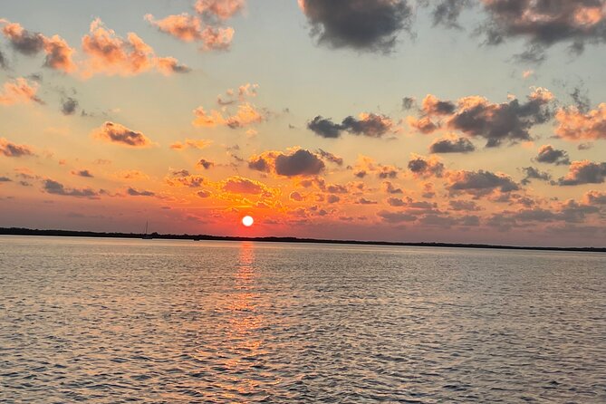 Key Largo Dolphin Day Tour - Why the private format changes the experience