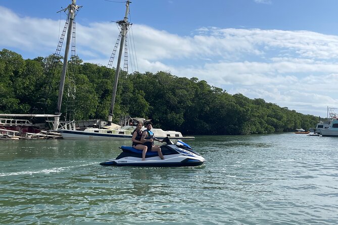Key Largo Dolphin Jetski Tour for 2 - Wildlife along the bay