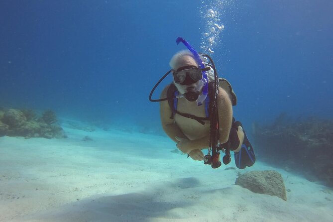 Key Largo Scuba Trip, 2 Location - 65 Min Per Site - Marine Life You Might See