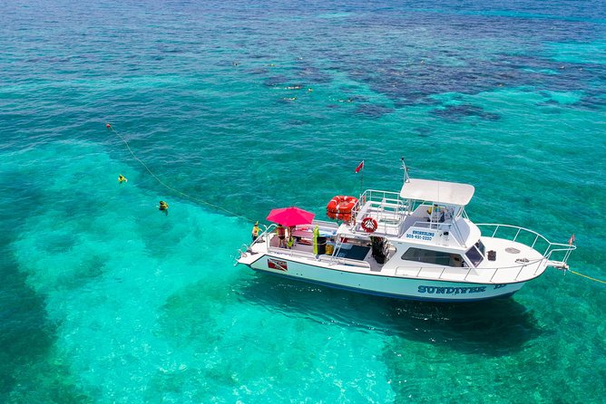 Key Largo Snorkeling Tour - rental mask, fins and vest INCLUDED - Check-in at 102840 Overseas Highway