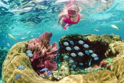 Key Largo Snorkeling Tour – rental mask, fins and vest INCLUDED
