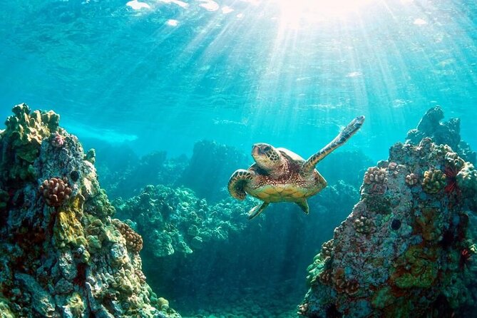 Key Largo Snorkeling Trips & Sandbar Tours - A private start at Key Largo Harbor Marina