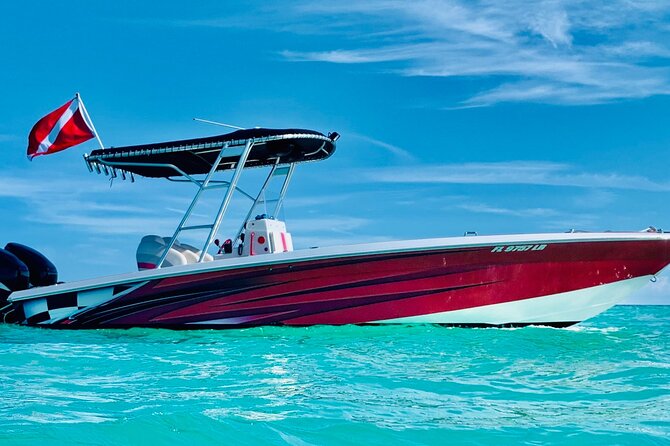 Key Largo Snorkeling Trips & Sandbar Tours - Christ of the Deep, Key Largo’s famous underwater statue
