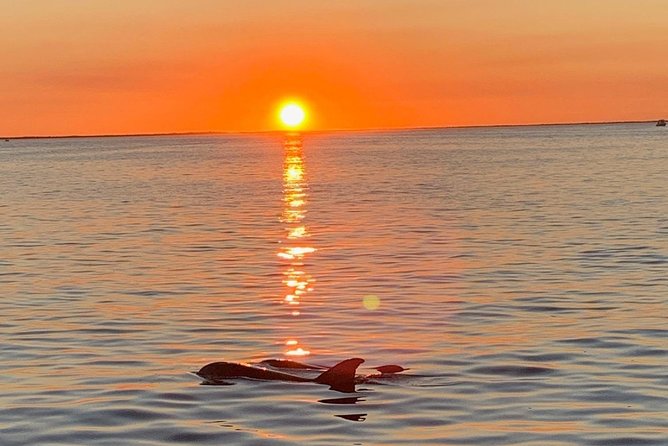 Key Largo Sunset Cruise - Key details before you book