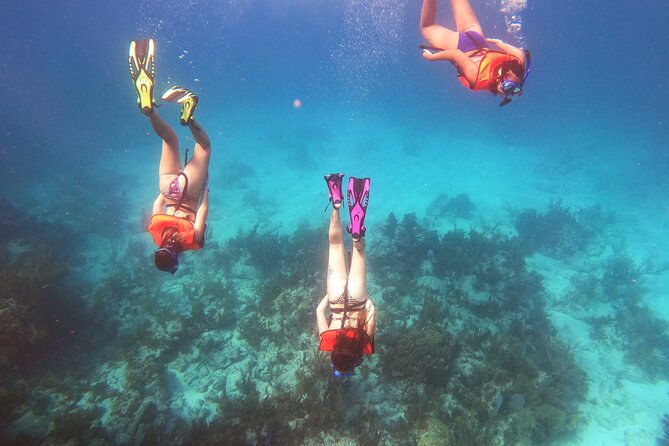 Key Largo Two Reef Snorkel Tour - All Snorkel Equipment Included! - Two reefs, one famous underwater statue