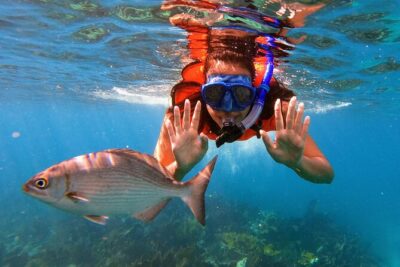 Key Largo Two Reef Snorkel Tour – All Snorkel Equipment Included!