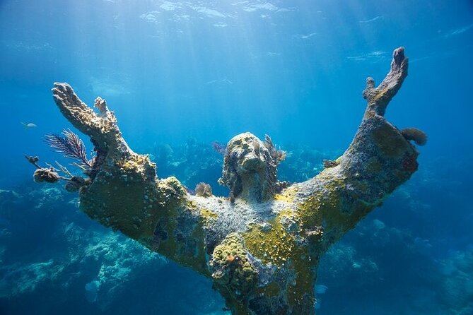 Key Largo Two Reef Snorkel Tour - All Snorkel Equipment Included! - Is $78 a fair price?