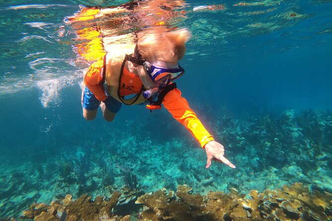 Key Largo Two Reef Snorkel Tour - All Snorkel Equipment Included! - Who will enjoy this trip most?