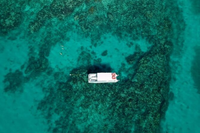 Key Largo Two Reef Snorkel Tour - All Snorkel Equipment Included! - Weather, cancellations, and practical flexibility