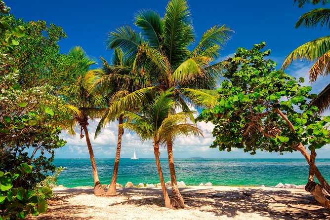 Key West Day Trip from Miami with Activities - Hemingway House, Mallory Square, and a do-it-yourself afternoon