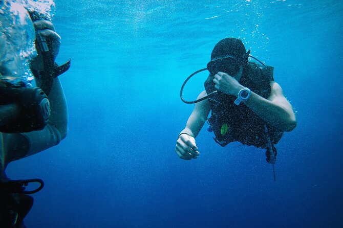 Key West from Miami with Snorkeling, Drinks and Hard Rock Cafe Meal - Snorkeling and the chance to see wildlife