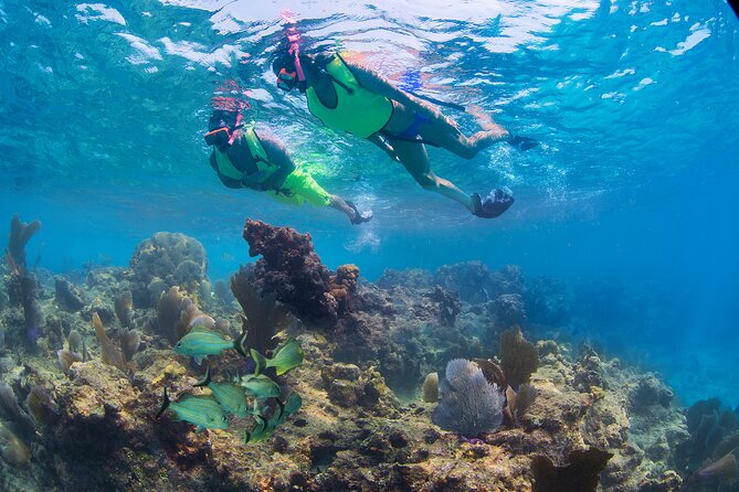 Key West Sail and Snorkel Day Trip from Fort Lauderdale - One hour on the Aquaworld catamaran
